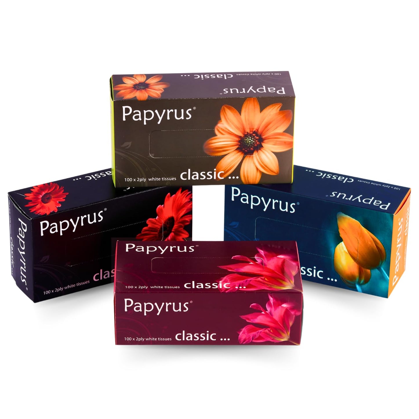 Papyrus Face Tissue Box | Ultra Soft, Highly Absorbent Face Tissue Wipes Skin (100 Pulls 200 Sheets Per Box) -Set of 4