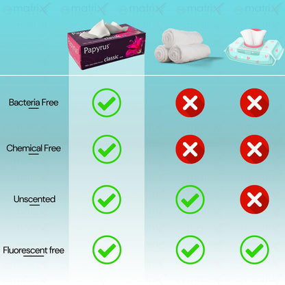 Papyrus Face Tissue Box | Ultra Soft, Highly Absorbent Face Tissue Wipes Skin (100 Pulls 200 Sheets Per Box) -Set of 4
