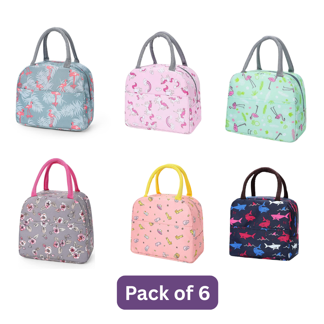 Insulated Lunch Bags For Office, School | Portable And Reusable (Pack of 6)